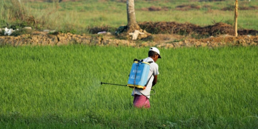 Farm safety and handling agrochemicals