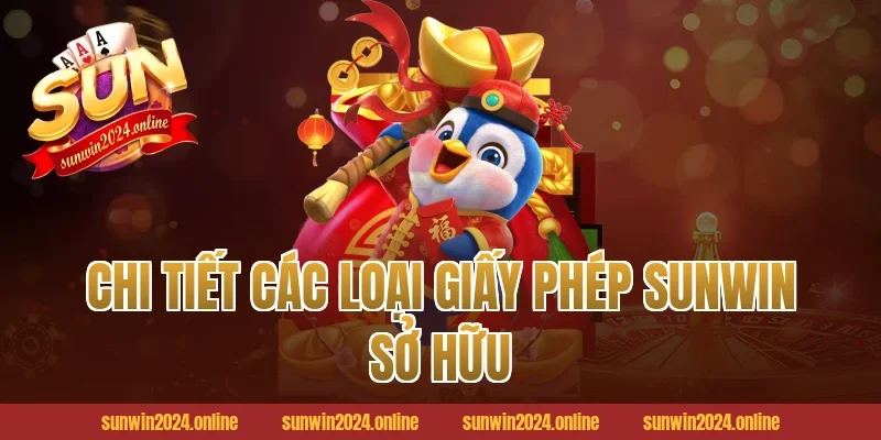 Chi Tiết Các Loại Giấy Phép Sunwin Sở Hữu