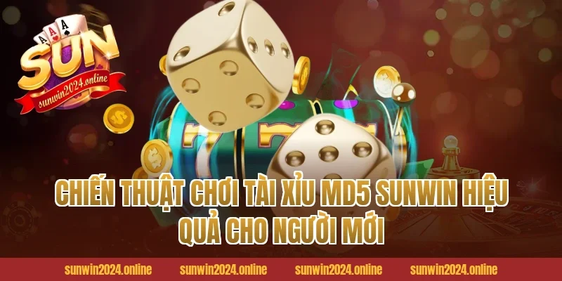 Chiến thuật chơi Tài xỉu MD5 Sunwin hiệu quả cho người mới